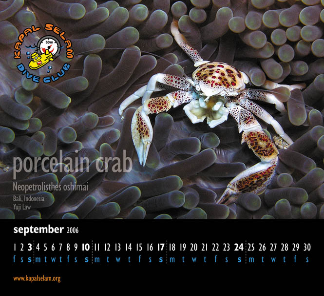 Photo of merchandise 2006 Calendar