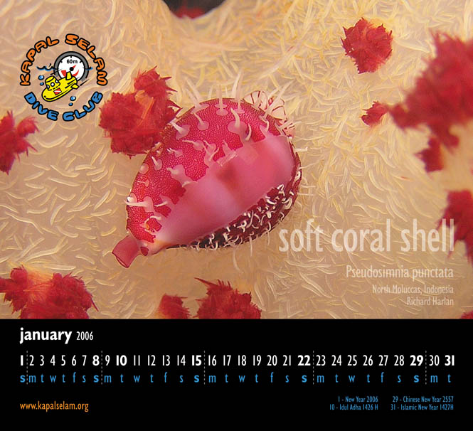 Photo of merchandise 2006 Calendar